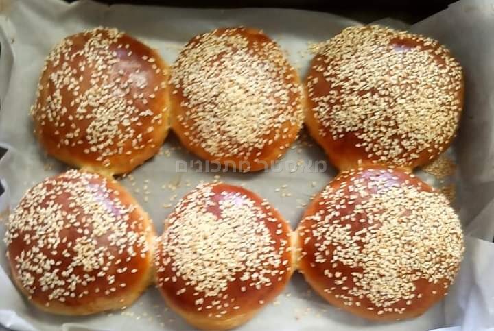 לחמניות