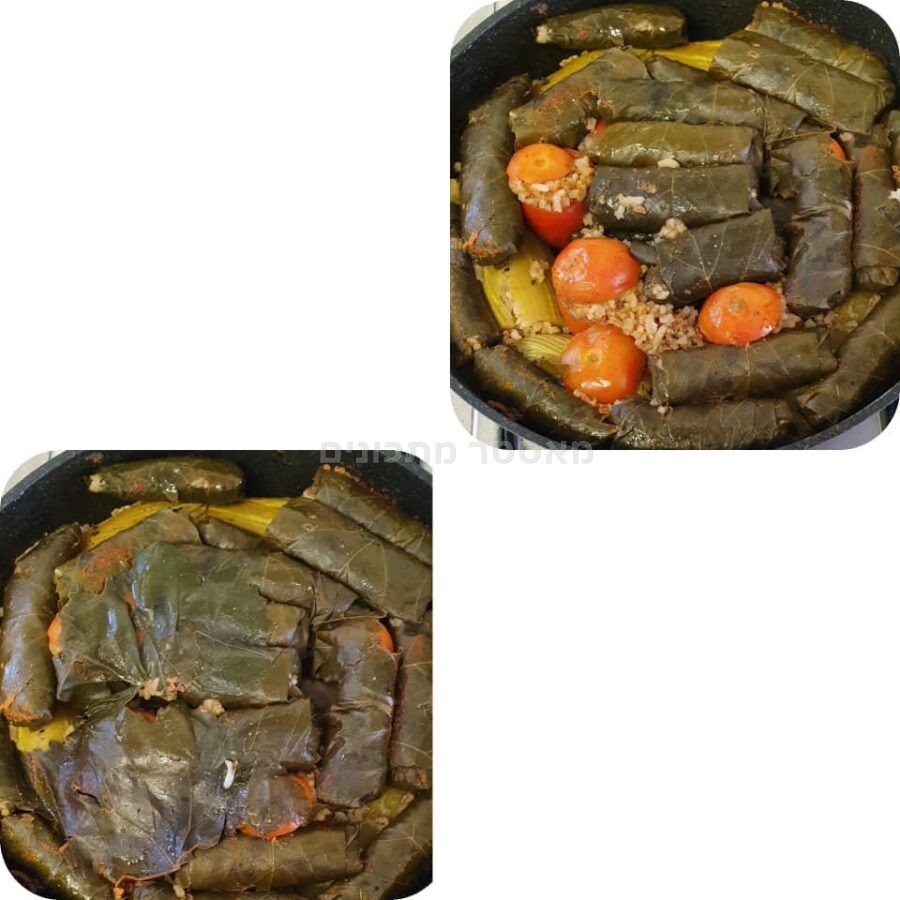הממולאים שלי (עלי גפן עגבניות וקישואים)