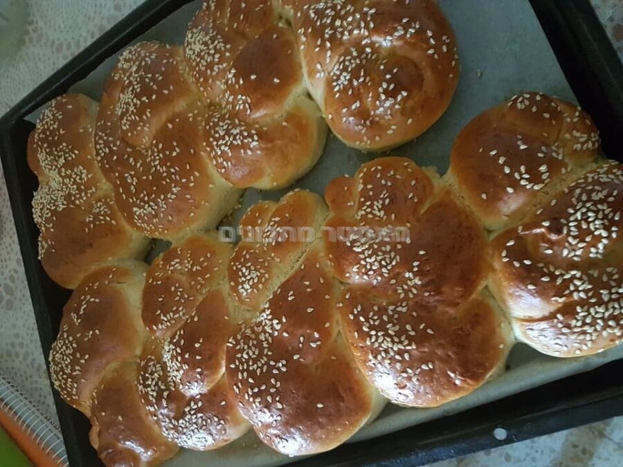 לחמניות