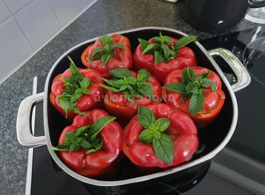ן להכנת 🍅🍅 פלפל ממולא חמוץ מתוק – בתוספת בזיליקום ונענע