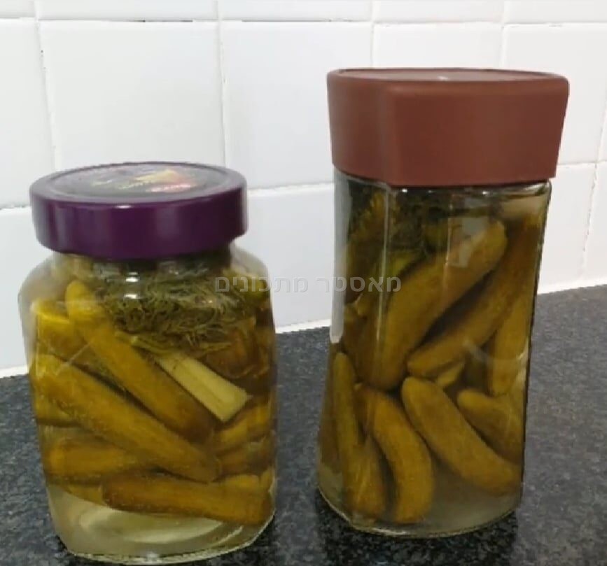 ן להכנת מלפפון חמוץ / שרה יוסף