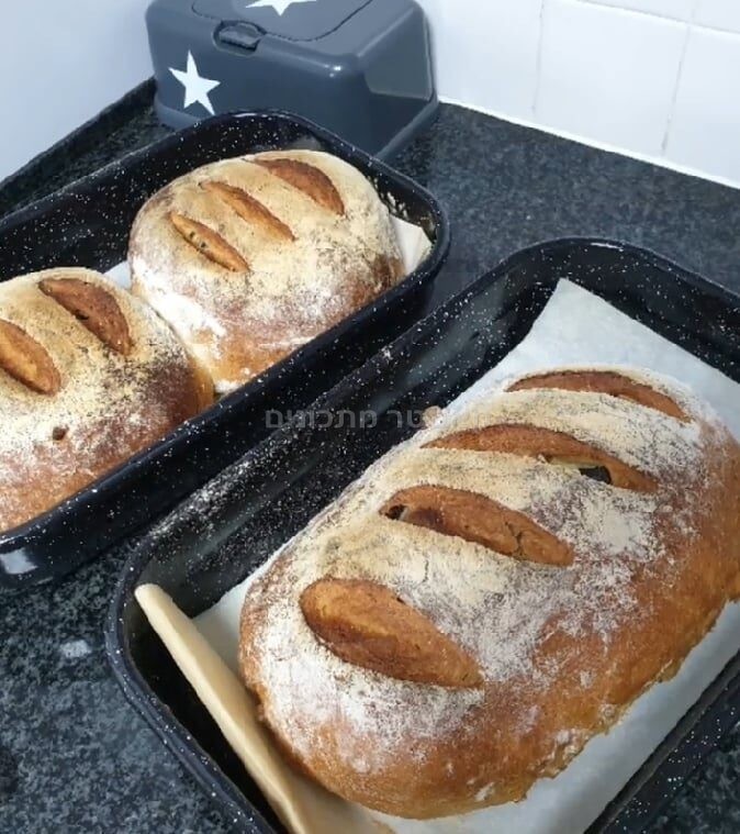 לחם לחם קלמטה ואורגנו טרי / קימל ללא קימל