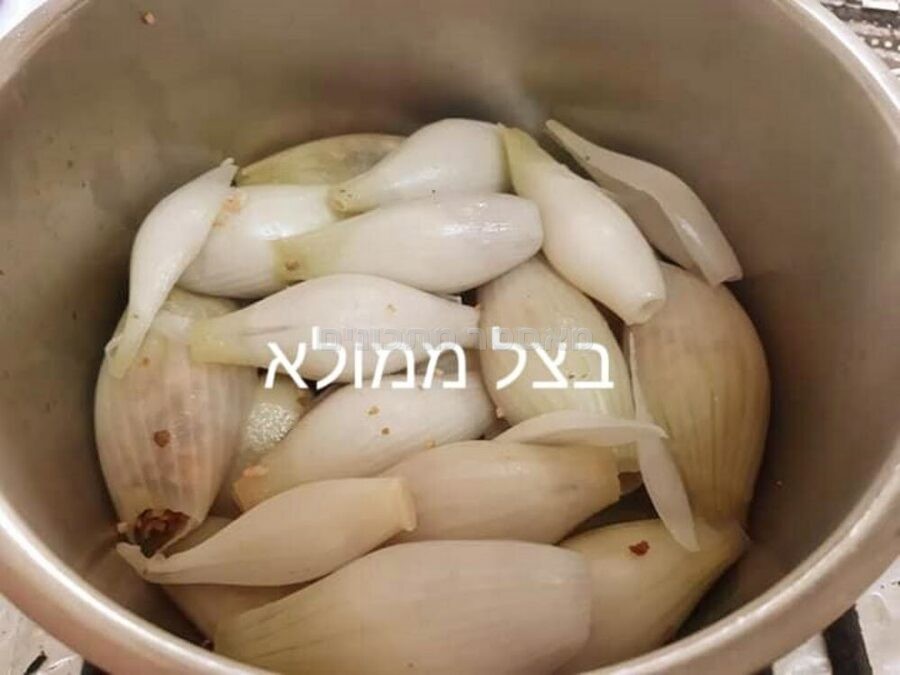 מחשי/מחשה