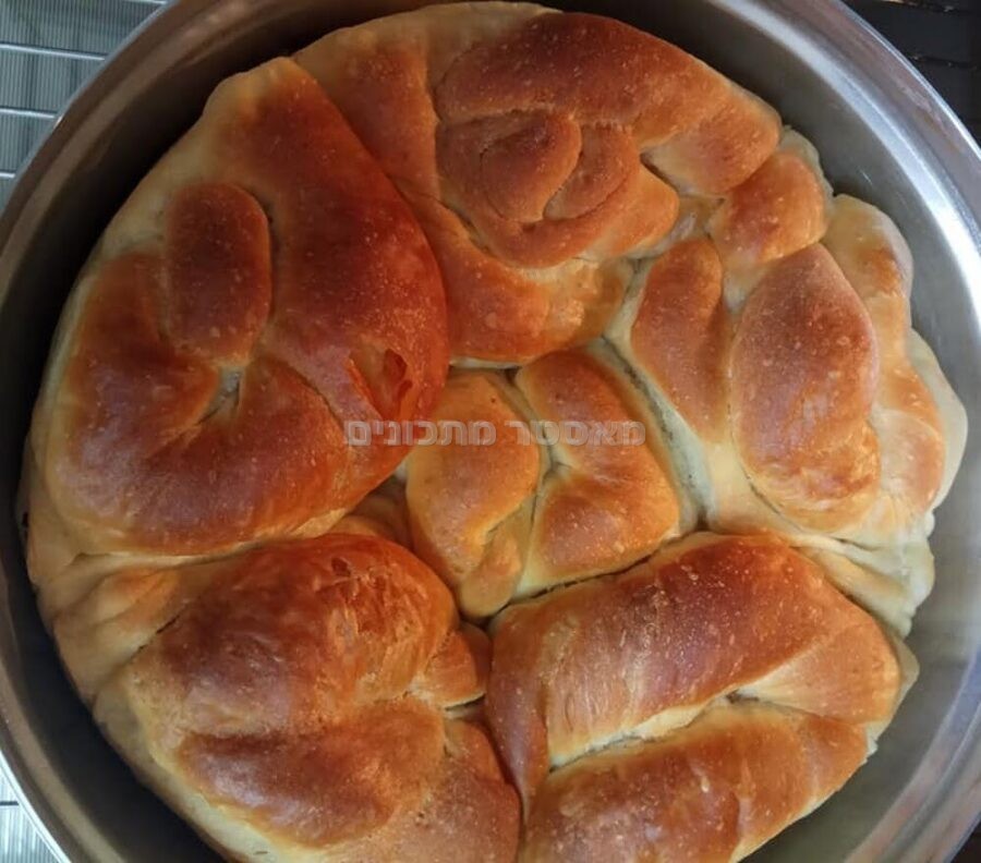 כובנה מפותלת עם סמנה