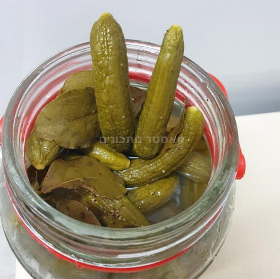 מלפפונים חמוצים בחומץ🙂