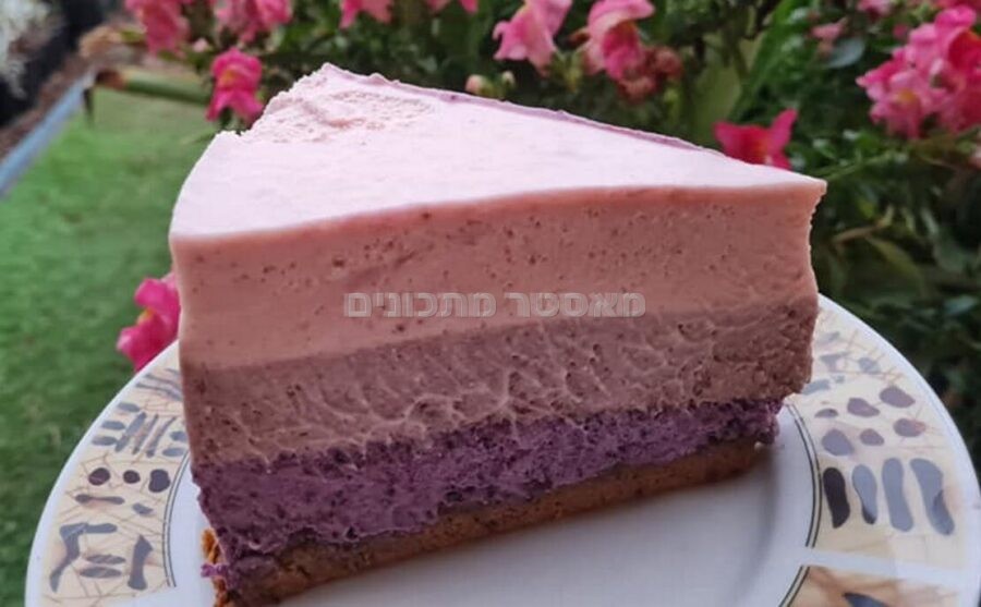 עוג מוס מסקרפונה עם אוכמניות דובדבנים ותותים ללא גלוטן🌺🌷🌺🌷🌺