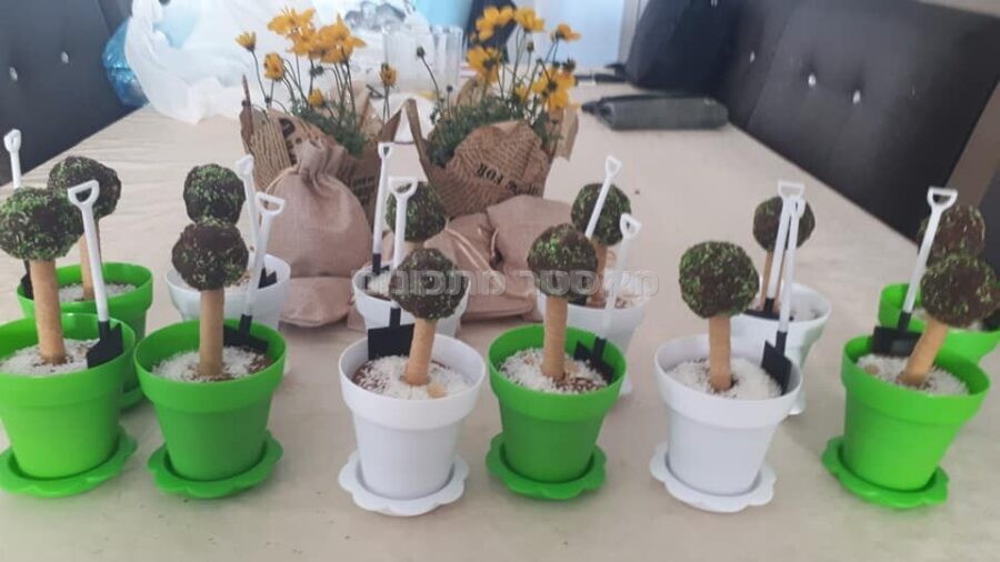 עציצי כדורי שוקולד ועוגת מאפינס