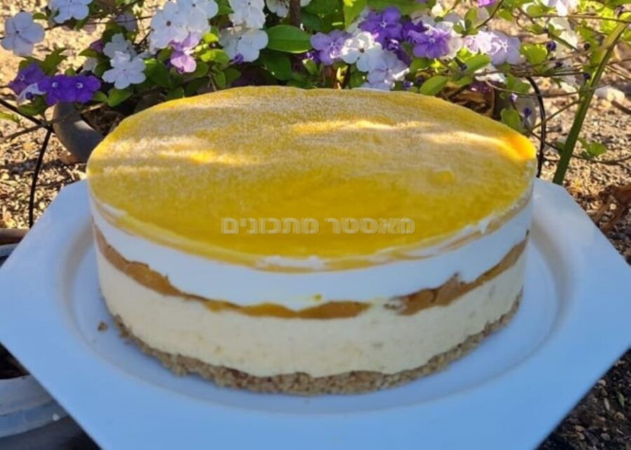 עוגת מוס מנגו ריבת מנגו קרם גבינה ושוקולד לבן וציפוי מנגו