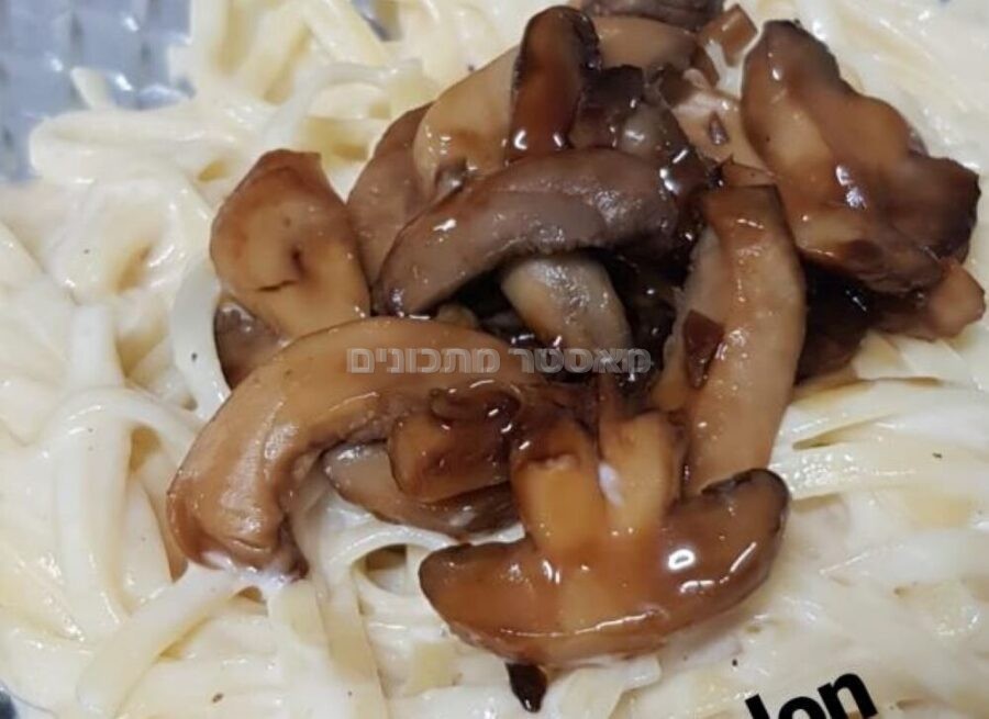אטריות נודלס ברוטב שמנת מוגש עם פטריות מוקפצות ברוטב טריאקי