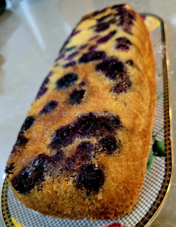 עוגת תפוז, קוקוס , אוכמניות ופקאן