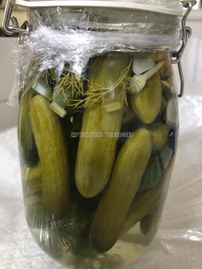 מלפפון חמוץ בלדי ביתי