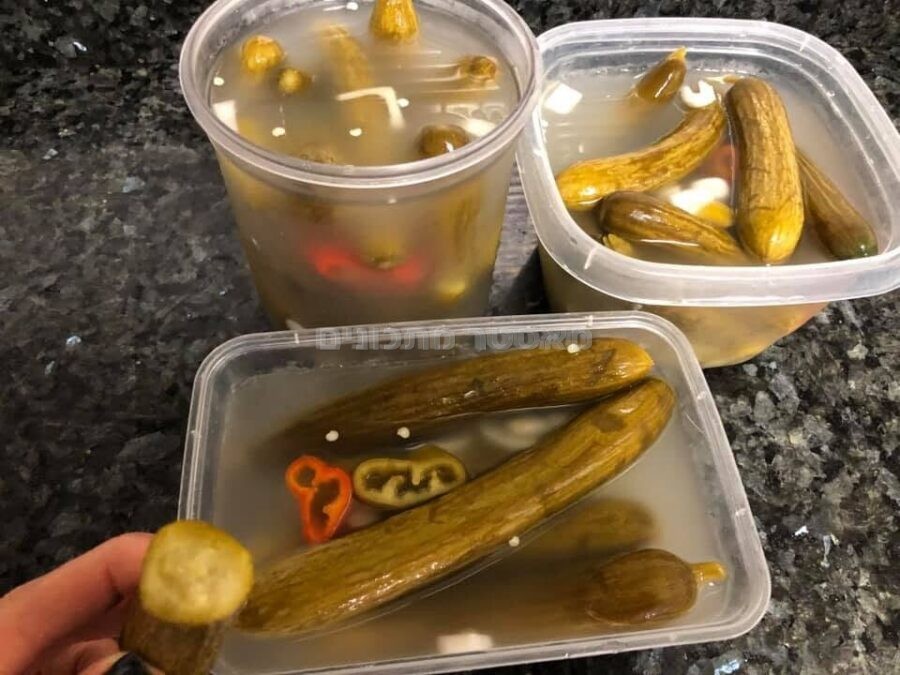 מלפפונים חמוצים פיקנטיים ביתיים
