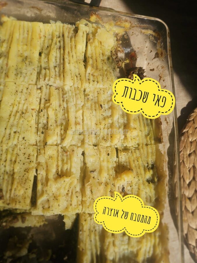 בשר, חצילים, ברוקולי ופירה