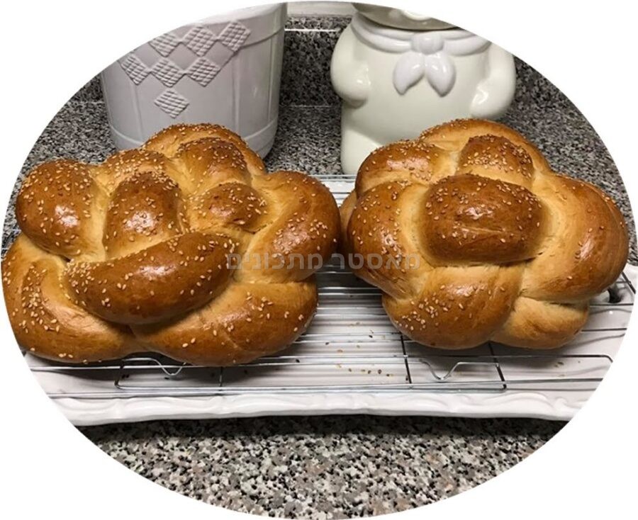 חלה עגולה לשבת