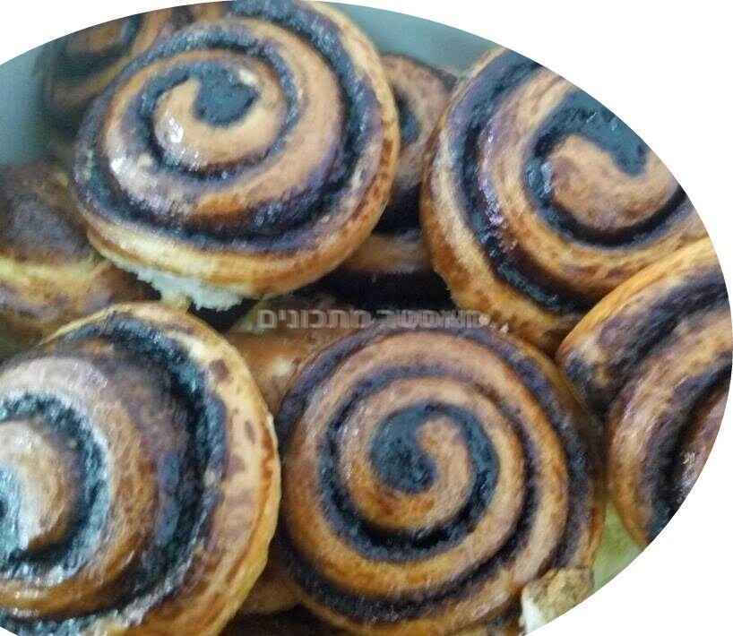 שבלולים