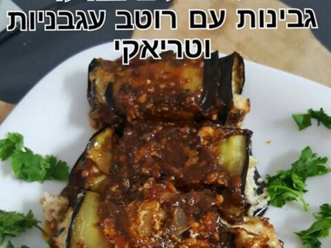 רול חצילים במילוי גבינות עם רוטב עגבניות טריאקי