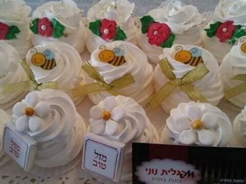 מרנג בכל הצורות