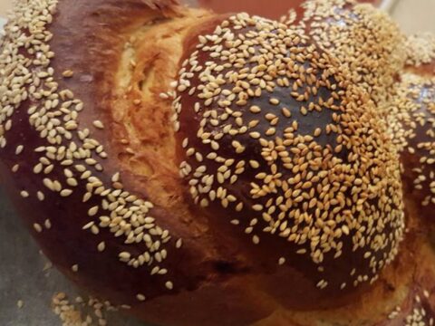 חלות לשבת