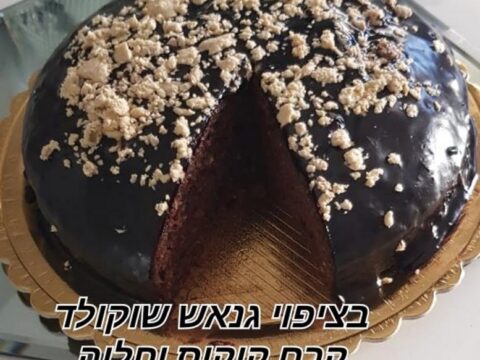 עוגת שוקולית בציפוי גנאש קרם קוקוס וחלווה