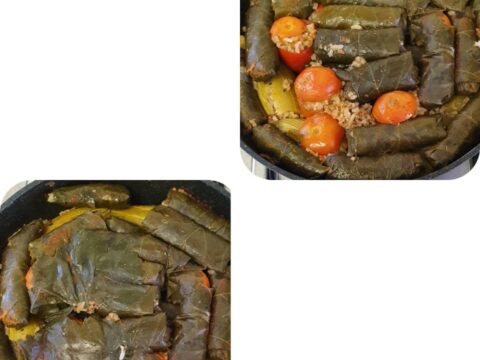 הממולאים  שלי (עלי גפן עגבניות וקישואים)_יפה וקס ברקו