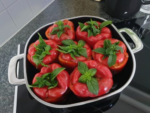 מתכון כתוב + סרטון להכנת 🍅🍅 פלפל ממולא חמוץ מתוק – בתוספת בזיליקום ונענע _מתכון של תילי טובה