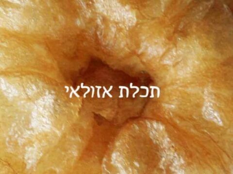 ספינז_מתכון של המטבח של תכלת