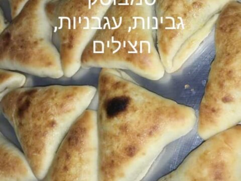 סמבוסק גבינות חציל ועגבניה קלויים_מתכון של המטבח של תכלת