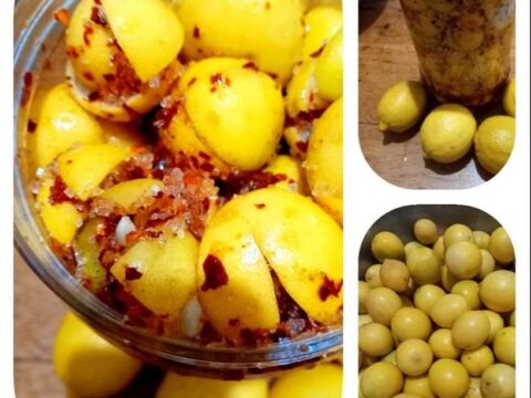 ליים בלדי 🍋 … לימון ננסי כבוש_מתכון של המטבח של יפה רייפלר מתכונים