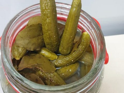 מלפפונים חמוצים בחומץ🙂_מתכון של ירדנה ג'נאח – מאסטר מתכונים