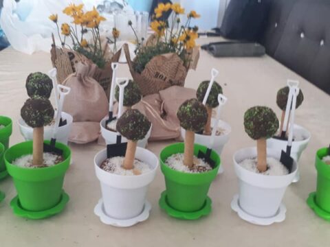 עציצי כדורי שוקולד ועוגת מאפינס_מתכון של צופית בן יוסף – מאסטר מתכונים