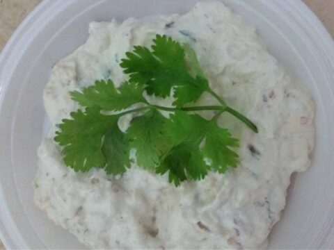 סלט חצילים עם מיונז_מתכון של סמדר גבאי – מאסטר מתכונים