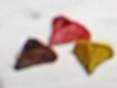 אזני המן חגיגיים_מתכון של תכלת אזולאי ( המטבח של תכלת ) – מאסטר מתכונים