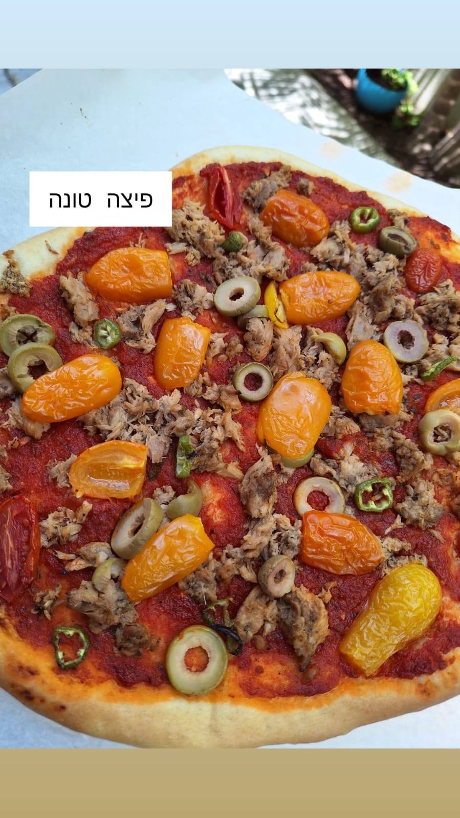 פיצה מושלמת_מתכון של אילנה בוכריס – מאסטר מתכונים 👇
