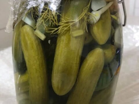 מלפפון חמוץ בלדי ביתי_מתכון של ליאת קאדר