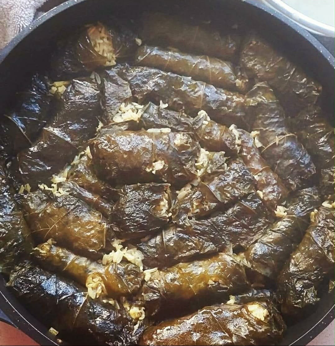 עלי גפן ממולאים באורז_מתכון של צופית בן יוסף